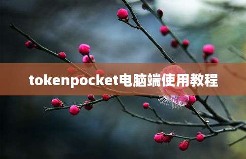 tokenpocket电脑端使用教程