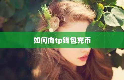 如何向tp钱包充币