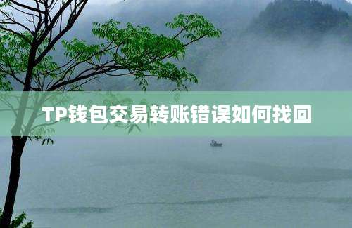 TP钱包交易转账错误如何找回