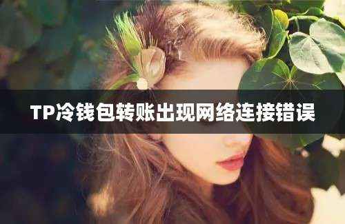 TP冷钱包转账出现网络连接错误