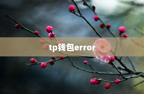 tp钱包error