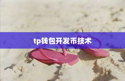 tp钱包开发币技术