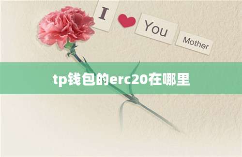 tp钱包的erc20在哪里