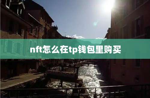 nft怎么在tp钱包里购买