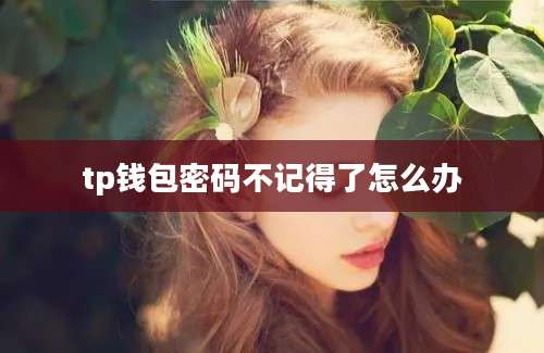 tp钱包密码不记得了怎么办