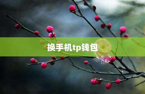 换手机tp钱包