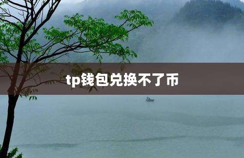 tp钱包兑换不了币