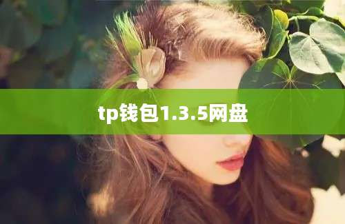 tp钱包1.3.5网盘