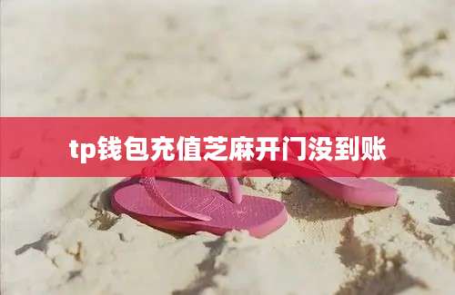 tp钱包充值芝麻开门没到账