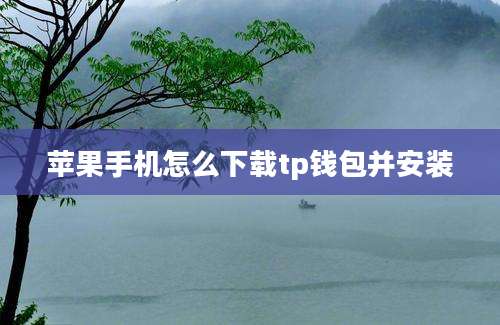 苹果手机怎么下载tp钱包并安装