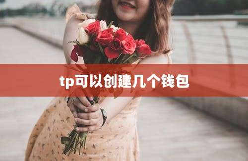 tp可以创建几个钱包