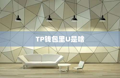TP钱包里U是啥