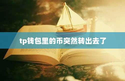 tp钱包里的币突然转出去了