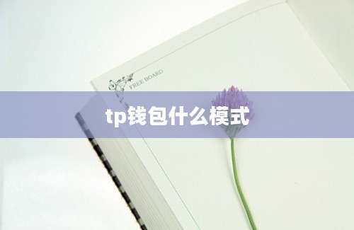 tp钱包什么模式