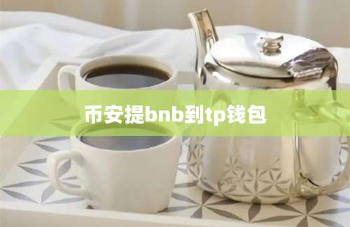 币安提bnb到tp钱包