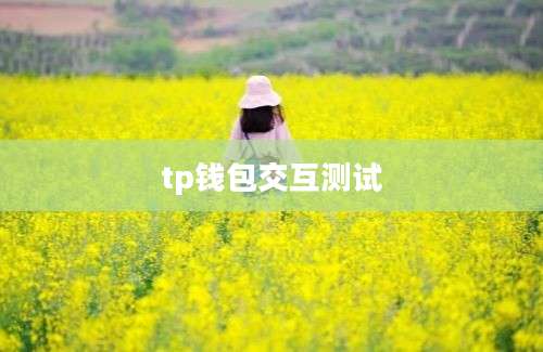 tp钱包交互测试