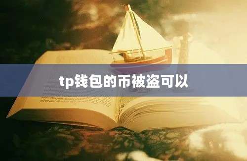 tp钱包的币被盗可以