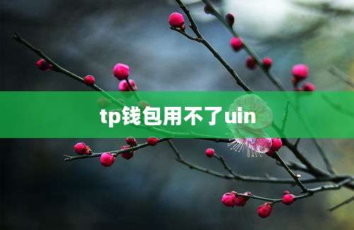 tp钱包用不了uin