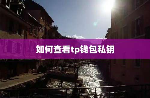 如何查看tp钱包私钥