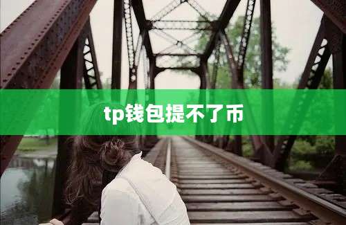 tp钱包提不了币