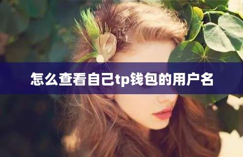 怎么查看自己tp钱包的用户名