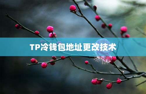 TP冷钱包地址更改技术