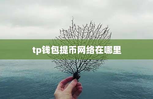 tp钱包提币网络在哪里