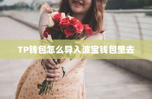 TP钱包怎么导入波宝钱包里去