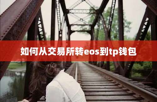 如何从交易所转eos到tp钱包