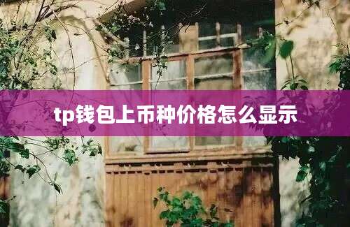tp钱包上币种价格怎么显示