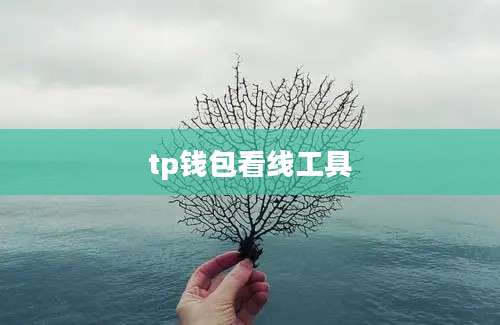 tp钱包看线工具