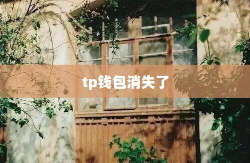 tp钱包消失了