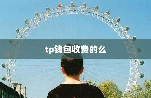 tp钱包收费的么