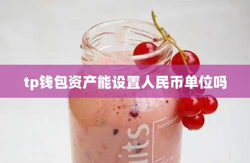 tp钱包资产能设置人民币单位吗