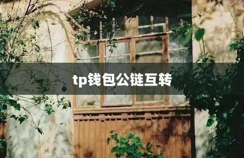 tp钱包公链互转