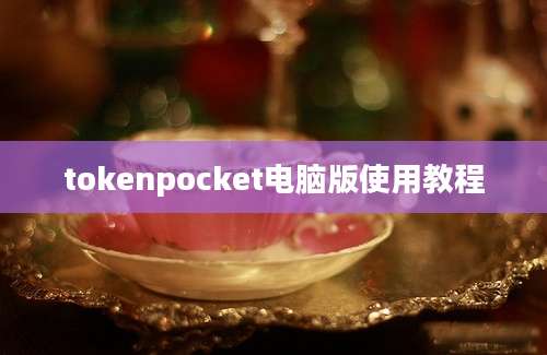 tokenpocket电脑版使用教程