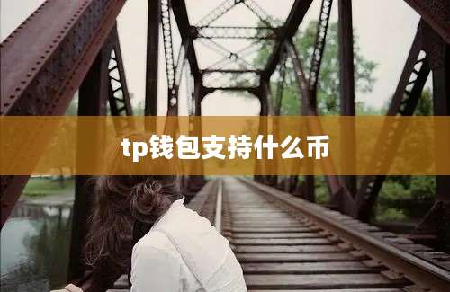 tp钱包支持什么币