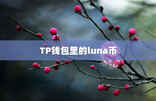 TP钱包里的luna币