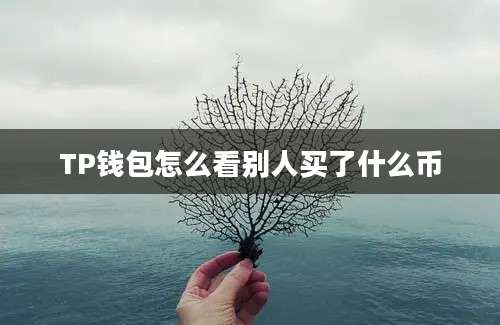 TP钱包怎么看别人买了什么币