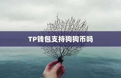 TP钱包支持狗狗币吗