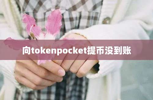 向tokenpocket提币没到账