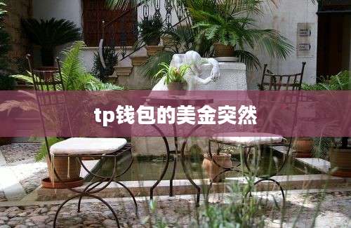 tp钱包的美金突然