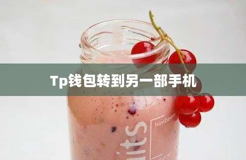 Tp钱包转到另一部手机