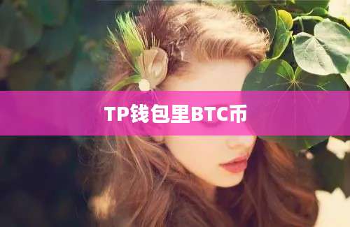 TP钱包里BTC币