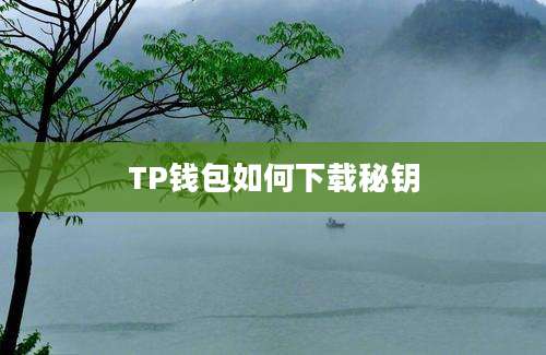 TP钱包如何下载秘钥