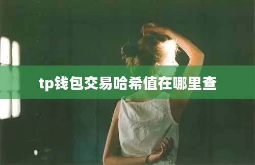 tp钱包交易哈希值在哪里查