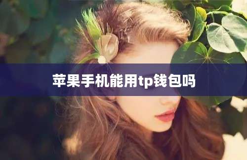 苹果手机能用tp钱包吗