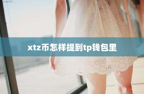 xtz币怎样提到tp钱包里