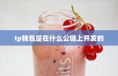 tp钱包是在什么公链上开发的