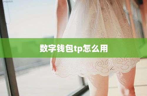 数字钱包tp怎么用